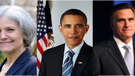 Why I am Voting for Jill Stein Who we choose to vote for is a personal matter decided by the heart and mind. It will sprout from fear, hope or determination. We vote against people we fear....